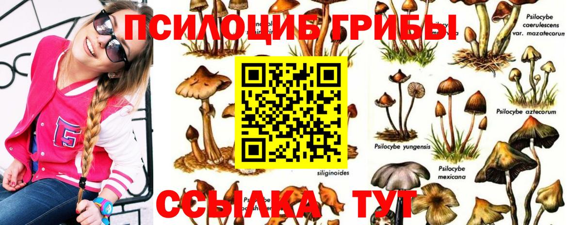Псилоцибиновые грибы мухоморы Уссурийск