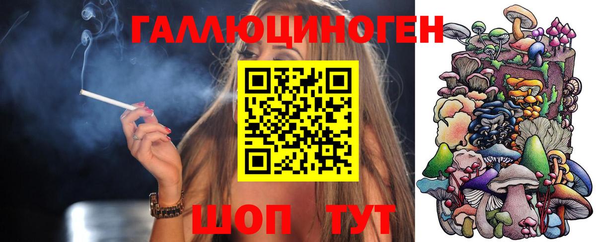как найти   Вход с VPN  Уссурийск  Псилоцибиновые грибы прущие грибы 